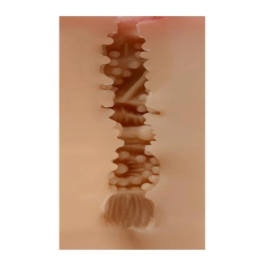 Realističan masturbator Jessica SQ MA60094-10